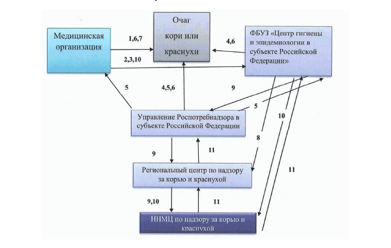 Модель взаимодействия медицинских организаций и органов, осуществляющих федеральный государственный санитарно-эпидемиологический контроль (надзор) при эпидемиологическом расследовании очага